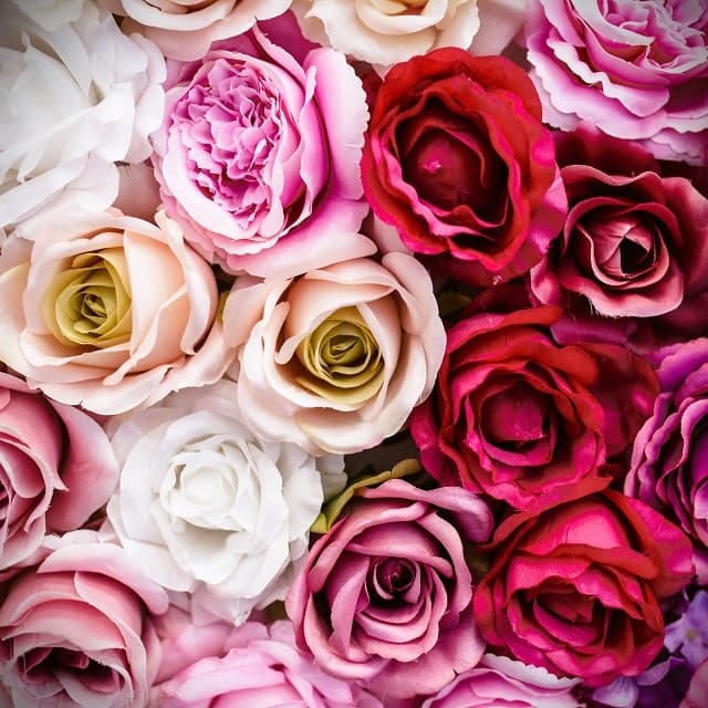 Bouquet 7 roses - atelier_floral_troarn
